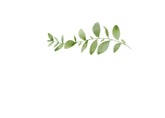 Suzanne foto